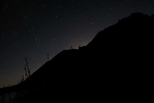 冬农蔬菜长势“旺”  增收致富有“钱”景