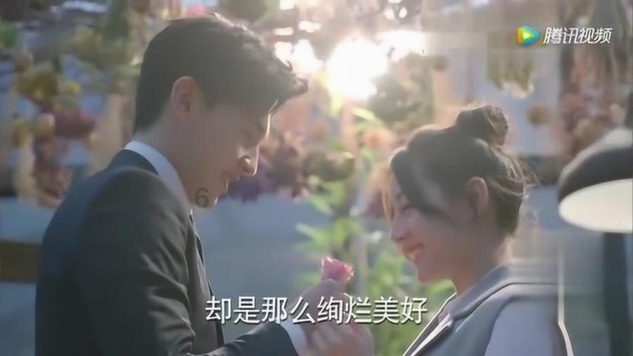 救援受困的长颈鹿